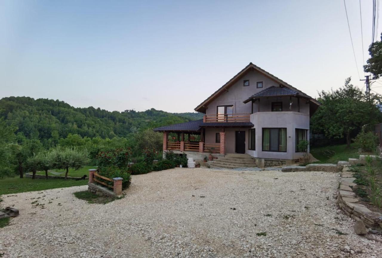 Vila Ella Villa Capatineni-Ungureni Exterior photo