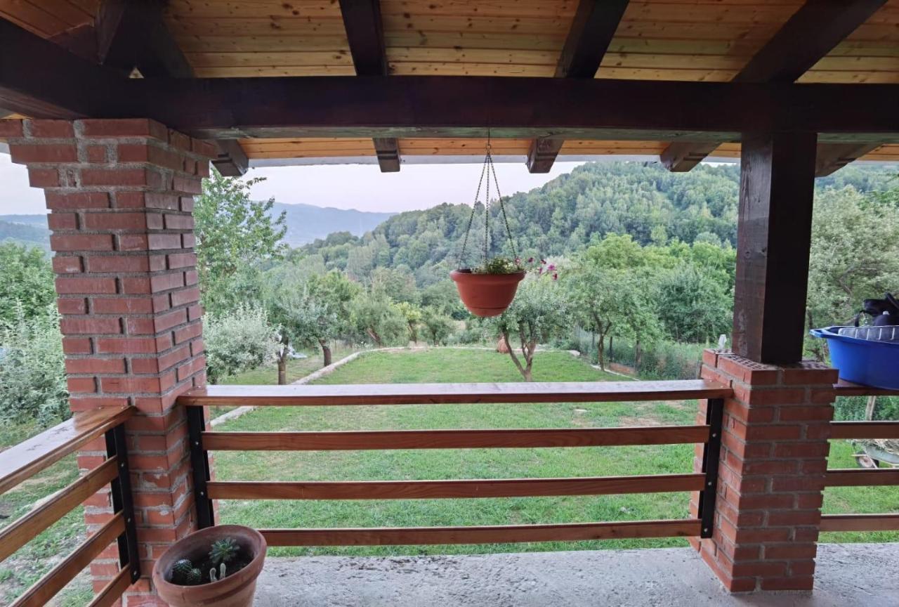 Vila Ella Villa Capatineni-Ungureni Exterior photo