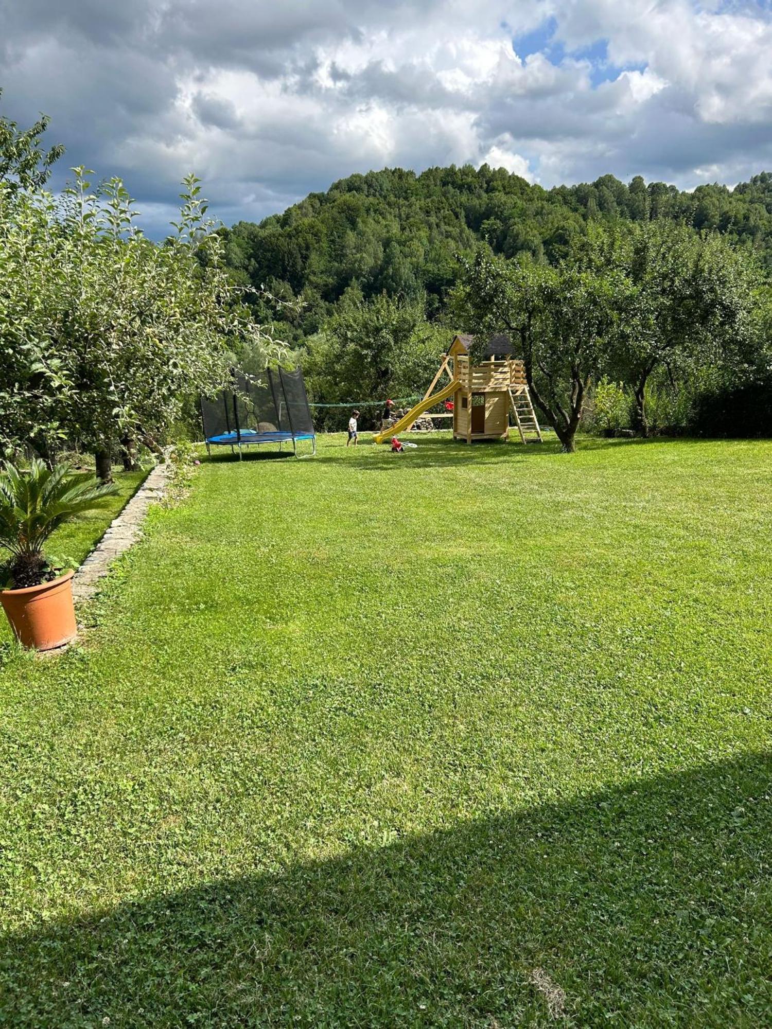 Vila Ella Villa Capatineni-Ungureni Exterior photo